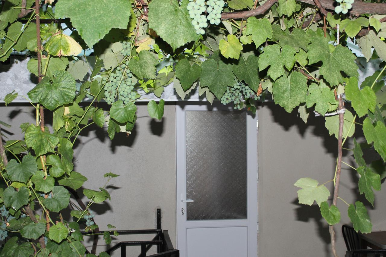 Mariko Hotel Borjomi Bagian luar foto