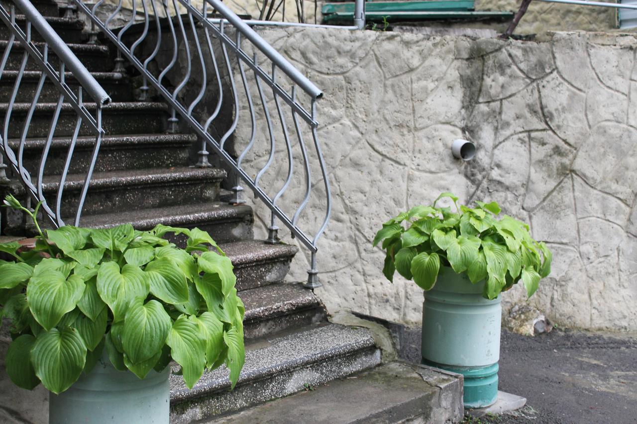 Mariko Hotel Borjomi Bagian luar foto