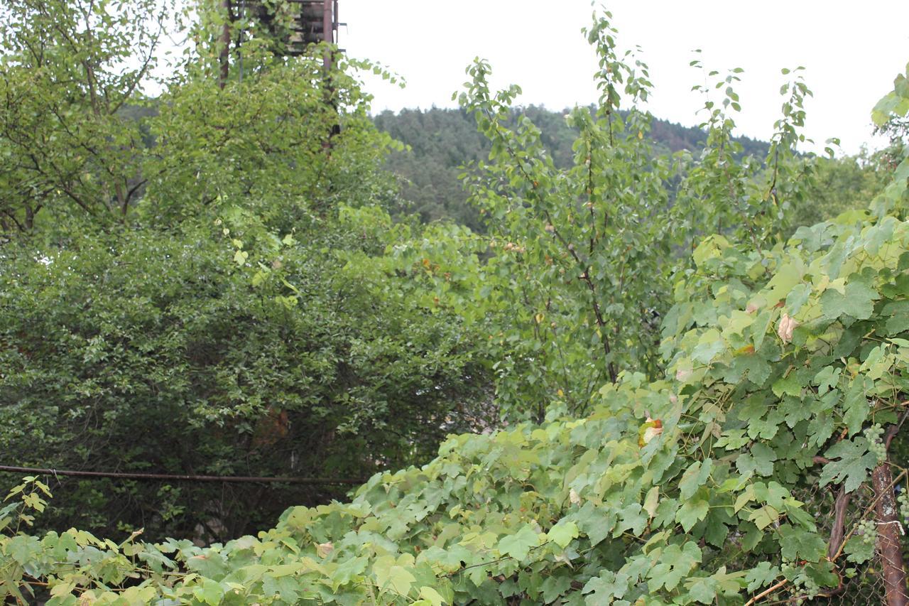 Mariko Hotel Borjomi Bagian luar foto